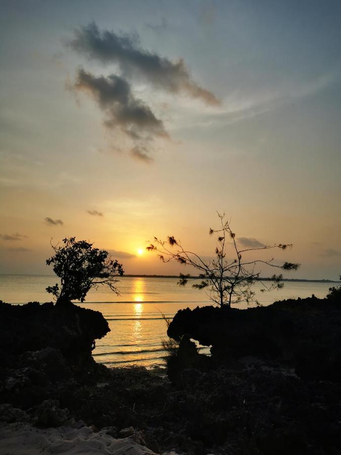 Michamvi Amani Villas Nature Retreat מראה חיצוני תמונה