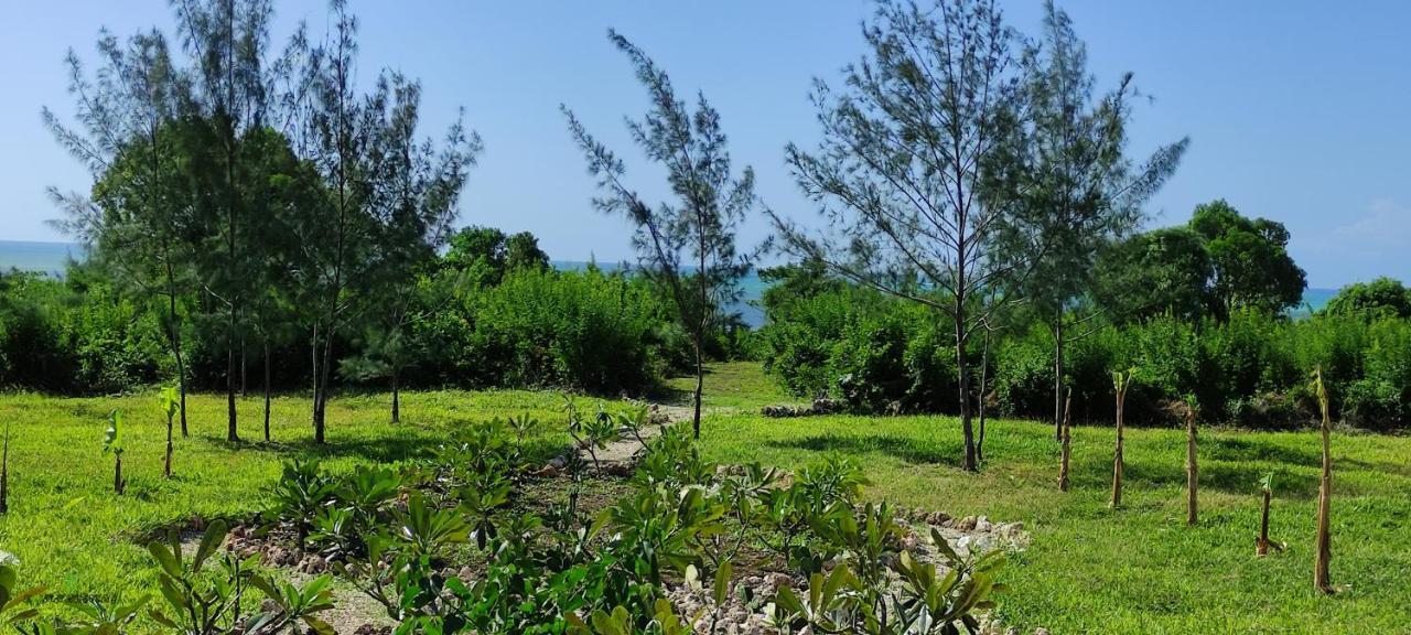 Michamvi Amani Villas Nature Retreat מראה חיצוני תמונה
