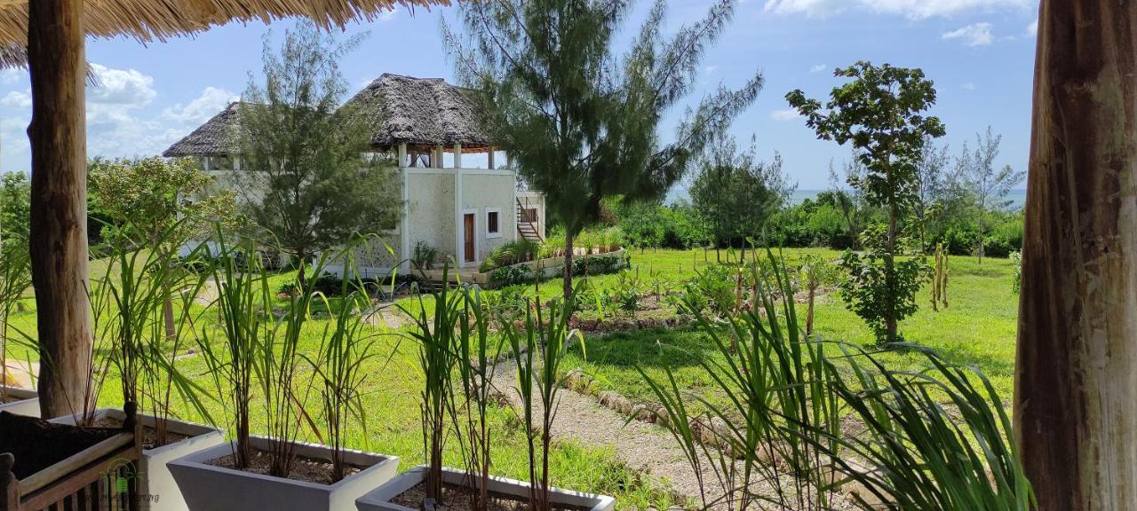 Michamvi Amani Villas Nature Retreat מראה חיצוני תמונה